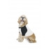 DOG POLY-COTTON 3/4 SLEEVE RAGLAN T-SHIRT