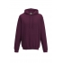 COLLEGE HOODIE