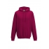 COLLEGE HOODIE