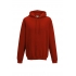 COLLEGE HOODIE