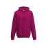 COLLEGE HOODIE