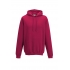 COLLEGE HOODIE