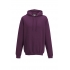 COLLEGE HOODIE