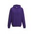COLLEGE HOODIE