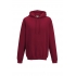 COLLEGE HOODIE
