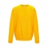 AWDIS SWEAT