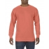 ADULT CREWNECK SWEATSHIRT