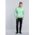 HEAVY BLEND™ ADULT HOODED SWEATSHIRT