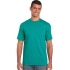 HEAVY COTTON™ ADULT T-SHIRT