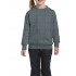 HEAVY BLEND™ YOUTH CREWNECK SWEATSHIRT