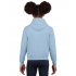 HEAVY BLEND™ YOUTH HOODED SWEATSHIRT