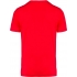 MEN'S ORGANIC COTTON V-NECK T-SHIRT