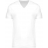 MEN'S ORGANIC COTTON V-NECK T-SHIRT