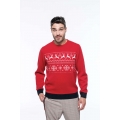 REINDEER MOTIF JUMPER