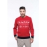 REINDEER MOTIF JUMPER