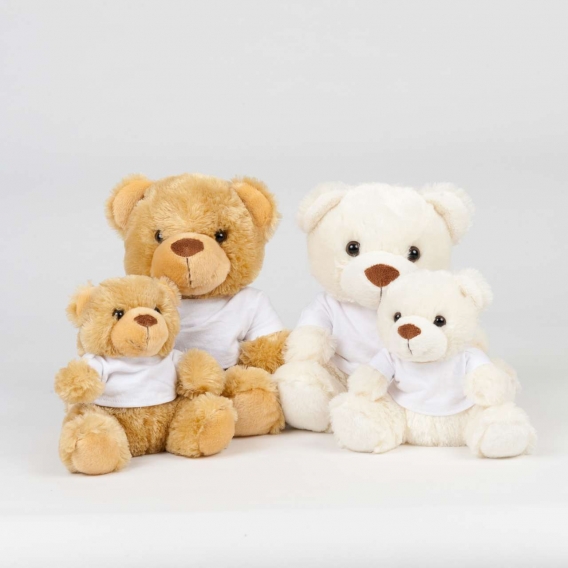 BEAR IN A T-SHIRT