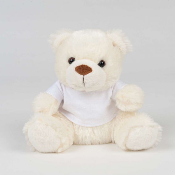 BEAR IN A T-SHIRT