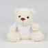 BEAR IN A T-SHIRT