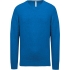 PREMIUM V-NECK JUMPER