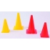 TRAINING CONE