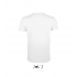 REGENT FIT - MEN’S ROUND NECK CLOSE FITTING T-SHIRT