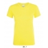 REGENT WOMEN - ROUND COLLAR T-SHIRT