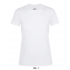 REGENT WOMEN - ROUND COLLAR T-SHIRT