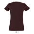 REGENT FIT WOMEN ROUND COLLAR FITTED T-SHIRT