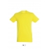 REGENT - UNISEX ROUND COLLAR T-SHIRT