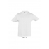 REGENT KIDS - ROUND NECK T-SHIRT