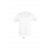 REGENT KIDS - ROUND NECK T-SHIRT