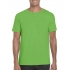 SOFTSTYLE® ADULT T-SHIRT