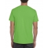 SOFTSTYLE® ADULT T-SHIRT