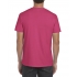 SOFTSTYLE® ADULT T-SHIRT