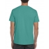 SOFTSTYLE® ADULT T-SHIRT