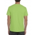 SOFTSTYLE® ADULT T-SHIRT