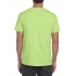SOFTSTYLE® ADULT T-SHIRT