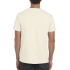 SOFTSTYLE® ADULT T-SHIRT