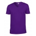 SOFTSTYLE® ADULT V-NECK T-SHIRT