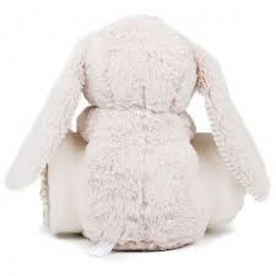 RABBIT AND BLANKET