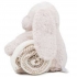 RABBIT AND BLANKET