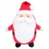 ZIPPIE FATHER CHRISTMAS