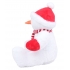 ZIPPIE SNOWMAN