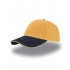 Liberty Sandwich Cap