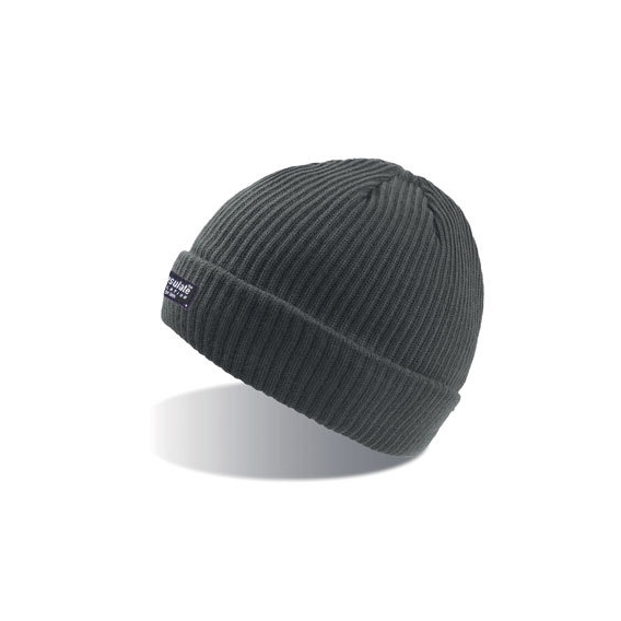 Bill Thinsulate™ Beanie