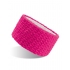 Everest Band