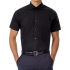 Poplin Shirt Black Tie Short Sleeve / Men