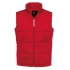 Bodywarmer / Men