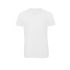 V-Neck Triblend T-Shirt /Men