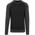 Raglan Crewneck